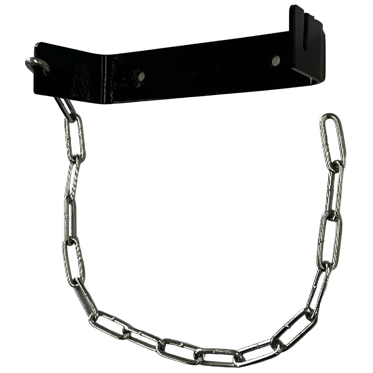 CO2 Cylinder Wall Bracket and Chain